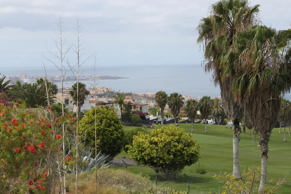 Gardens and palm trees above the coast of south Tenerife