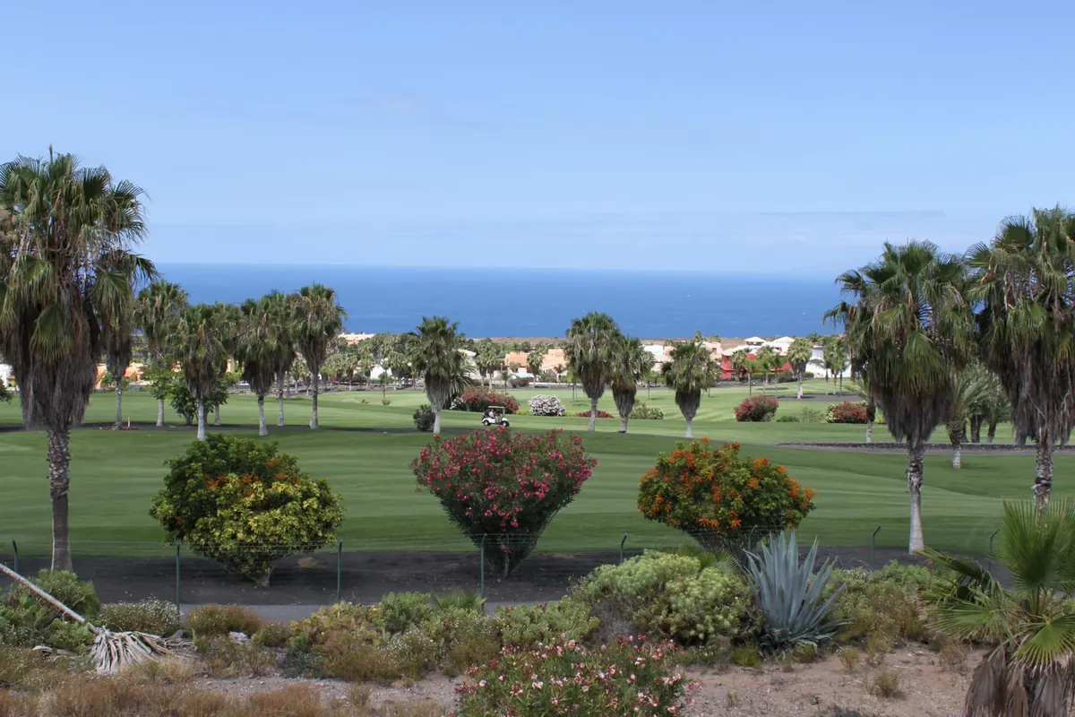 Palm trees and flowering shrubs beside a golf fairway in south Tenerife, with the sea beyond
