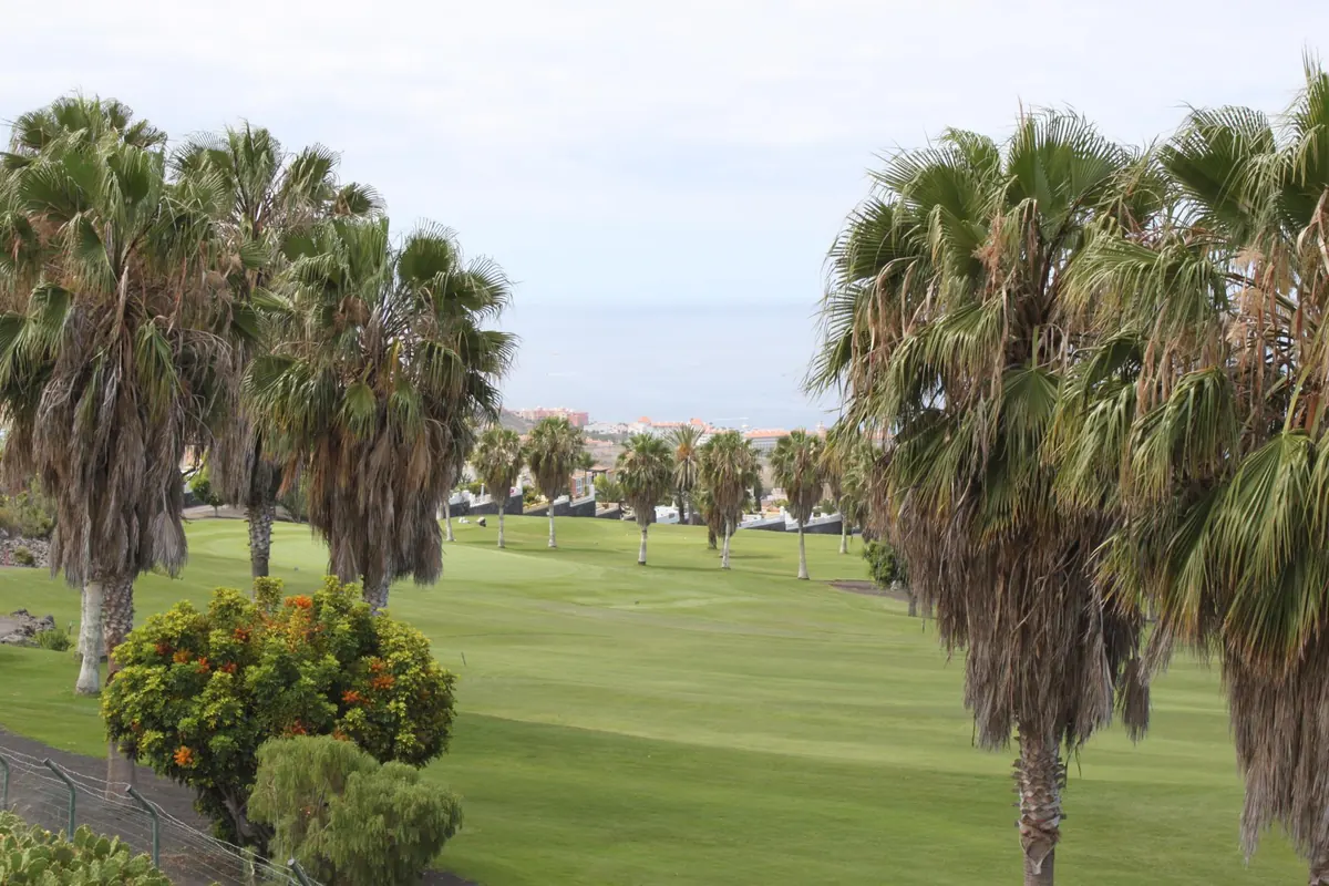 Palm-lined golf course in south Tenerife