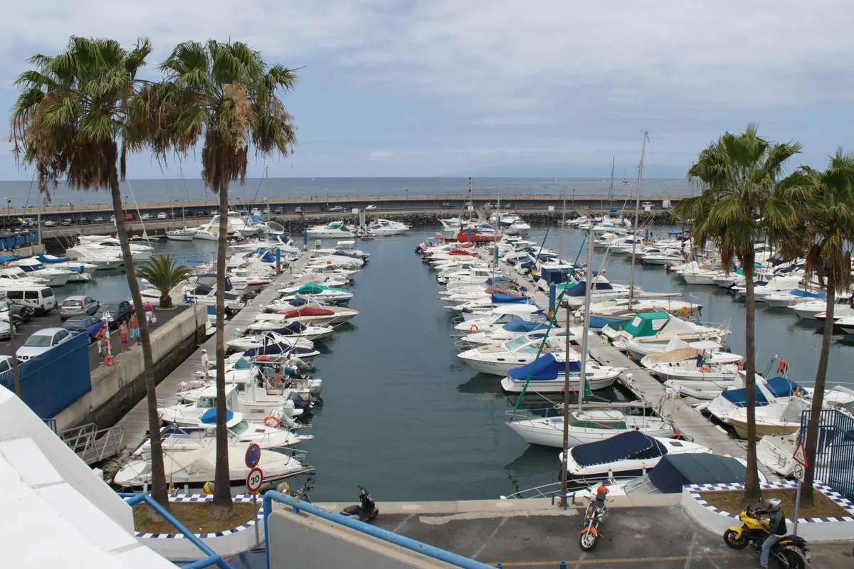 Boats moored in a marina lined with palm trees in Tenerife