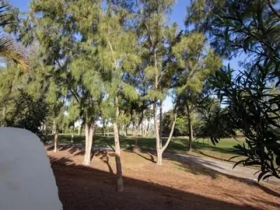 5 bedroom villa, Playa de las Américas, photo 5 of 19