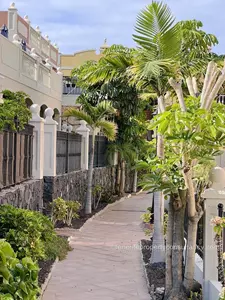 Ref: 200-807 Paraiso del Palm Mar Reserved