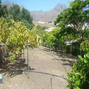 Ref: 400-581 Las Moraditas 2,650,000 €