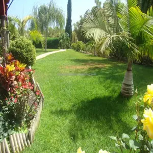 Ref: 400-581 Las Moraditas 2,650,000 €