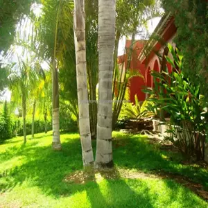 Ref: 400-581 Las Moraditas 2,650,000 €