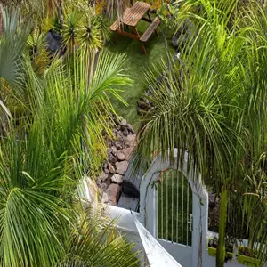 Ref: 500-140 Oasis Tropical 530,000 €