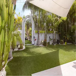 Ref: 500-140 Oasis Tropical 530,000 €